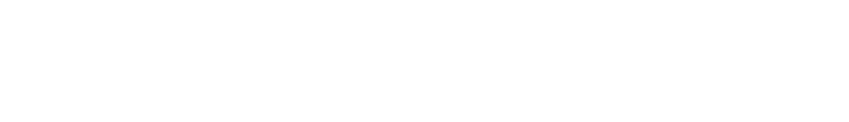 IEES — Instituto Europeo de Estudios Superiores